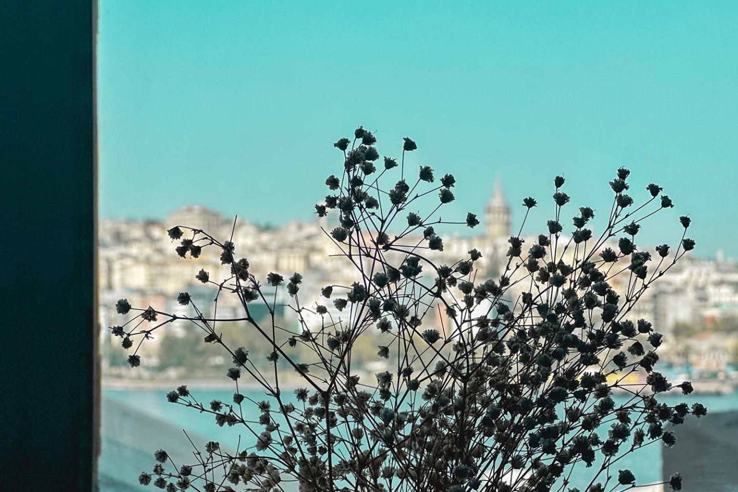 The Halic Bosphorus Hotel Istanbul Luaran gambar